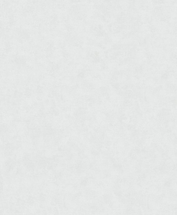32403 - Shades