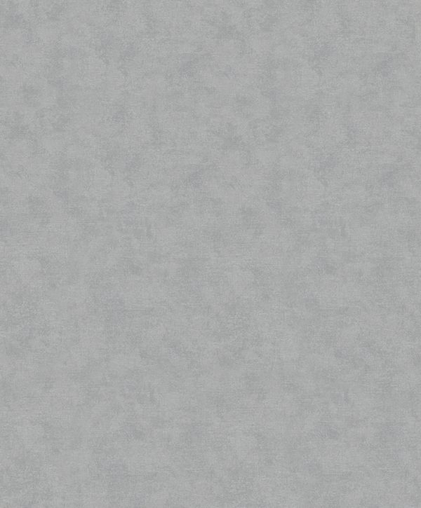 32404 - Shades