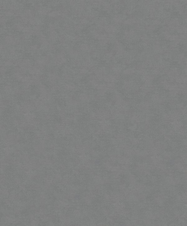 32405 - Shades