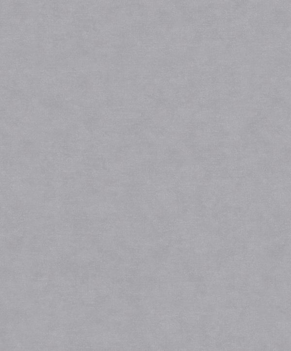32411 - Shades