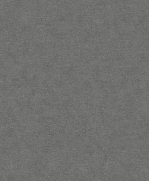 32420 - Shades