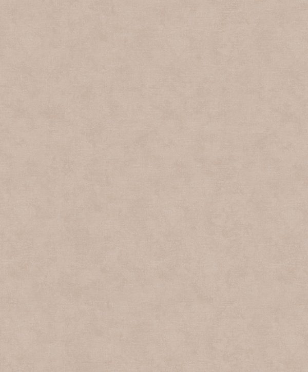 32433 - Shades