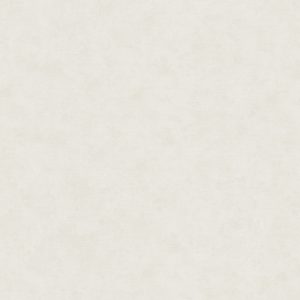 32438 - Shades