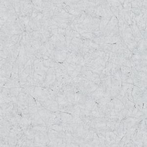 32803