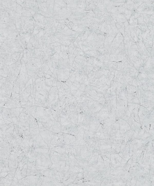 32803