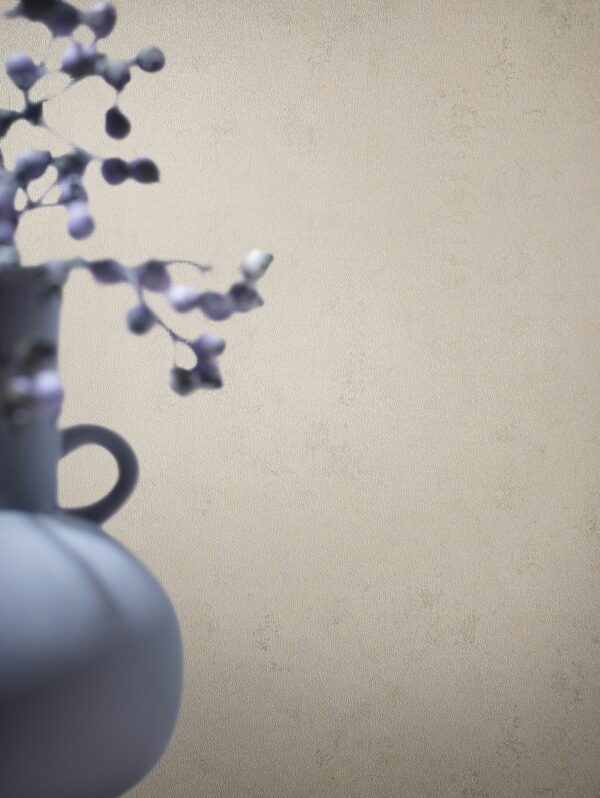 33734 002 imageroom