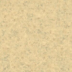 46989 001 scan