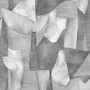 47343 001 scan