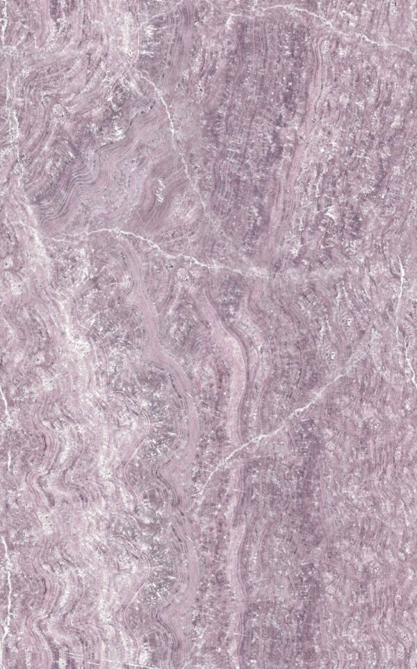 47355 001 scan
