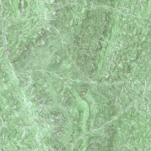 47356 001 scan
