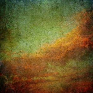 47366 001 scan