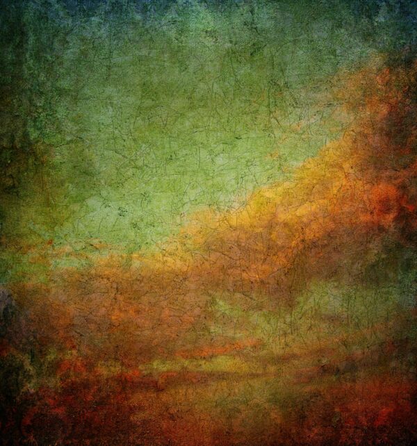 47366 001 scan