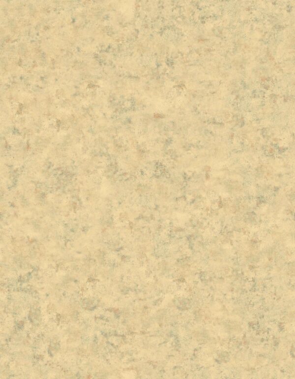 47389 001 scan