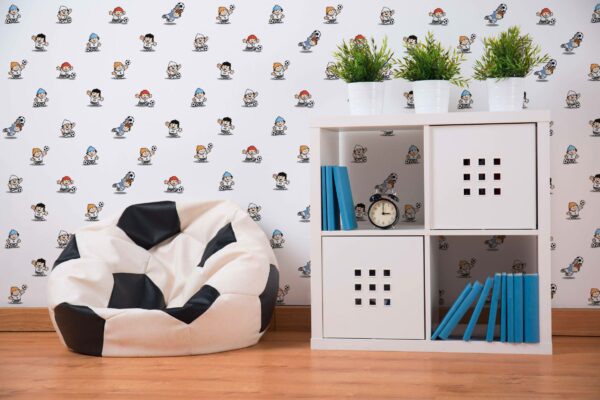 47507 001 imageroom