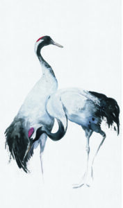 34596 001 scan 1