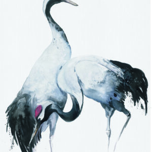34596 001 scan 1