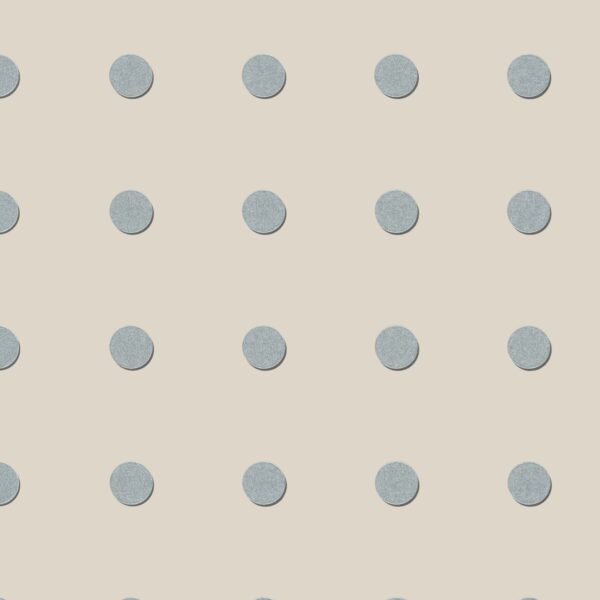 55508 001 scan