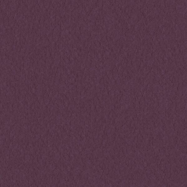 55558 001 scan