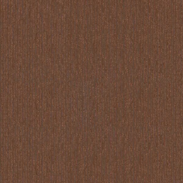55565 001 scan