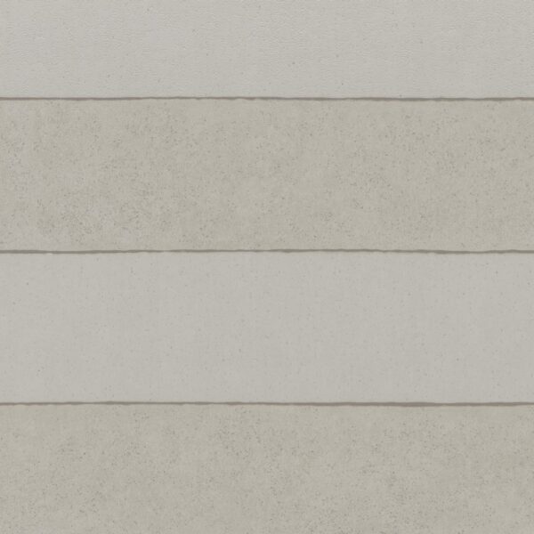 55584 001 scan