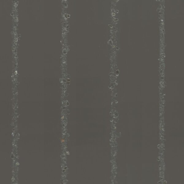 55597 001 scan
