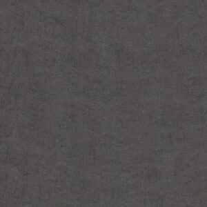 59777 001 scan