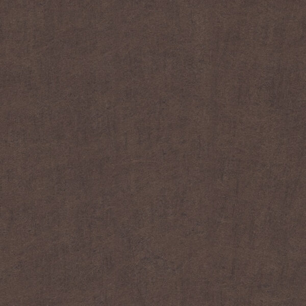 59778 001 scan