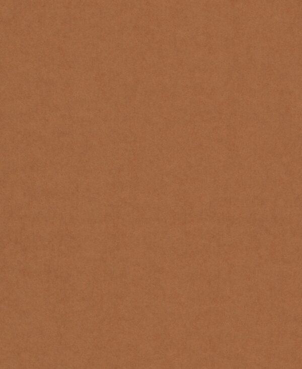 74817 001 scan