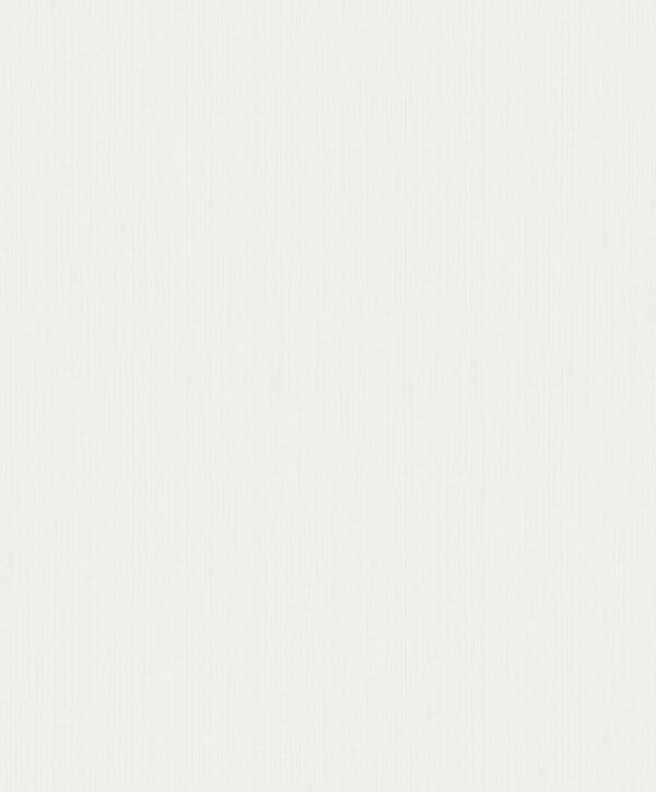 30036 001 scan