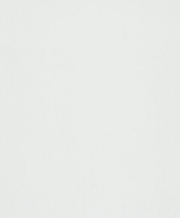 30039 001 scan