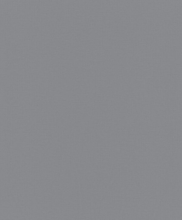 30043 001 scan