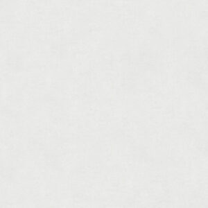 30064 001 scan